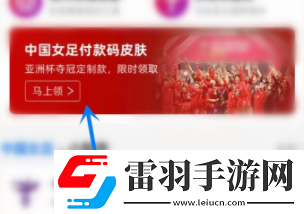 支付宝女足皮肤如何获取