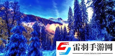 weyvv5国产的suv多少钱