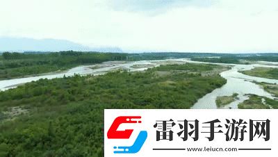 探索免费X站的宝藏
