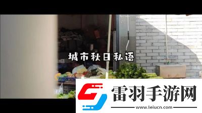 老镖客城中村扫街83939