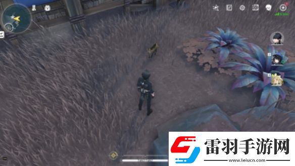 鸣潮妙宝堂隐藏小猫宝箱位置在哪