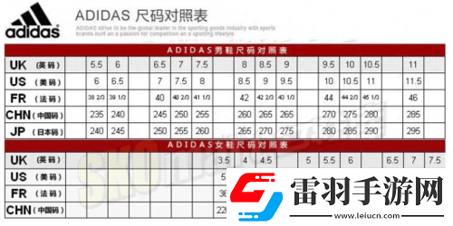 三叶草尺码欧洲码
