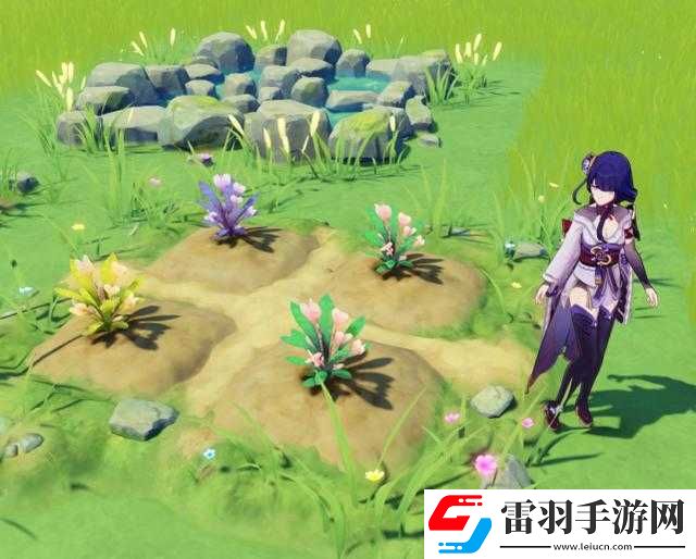 原神梦里生花活动玩法梦里生花种花玩法奖励
