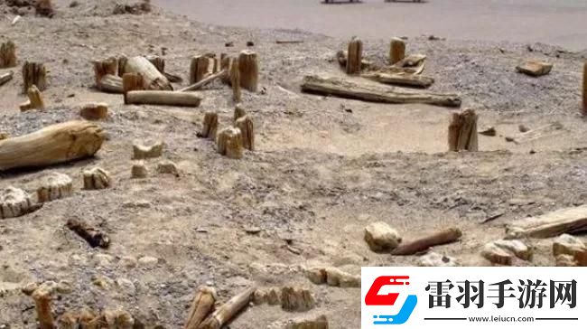 江湖悠悠禁地详细通关攻略