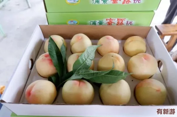 一区二区三区水蜜桃＂热销市场消费者纷纷追捧其独特口感与优质品质成为夏季水果新宠