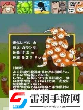 深度解析***兄贵