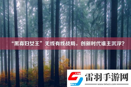 “黑寡妇女王”无线有线战局