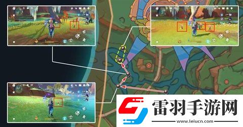 原神希诺宁突破材料灼灼彩菊快速采集攻略