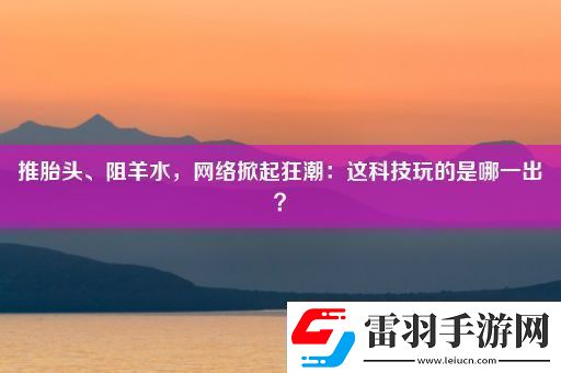 推胎头、阻羊水