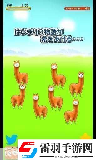 深度解析***兄贵