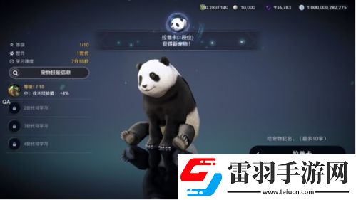 黑色沙漠手游熊猫任务怎么做