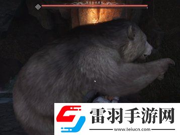燕云十六声厚皮白化黑熊怎么打