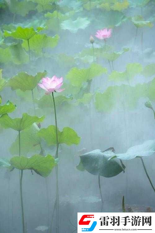 女性半夜莲花开