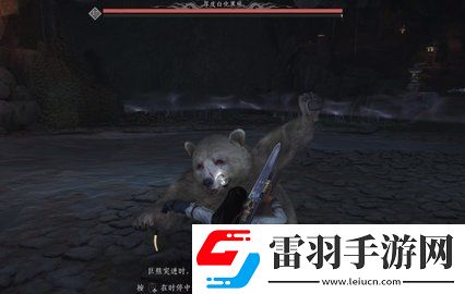 燕云十六声厚皮白化黑熊怎么打