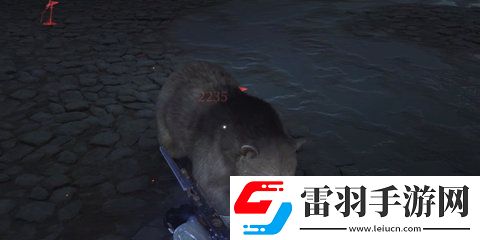 燕云十六声厚皮白化黑熊怎么打