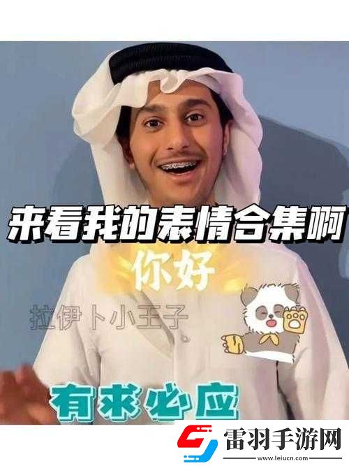 卡塔尔王子表情包大赏
