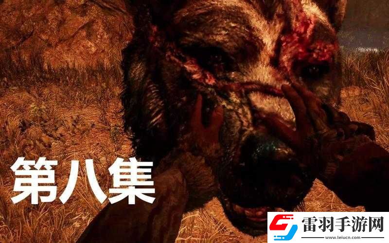 孤岛惊魂5猎杀熊狼攻略