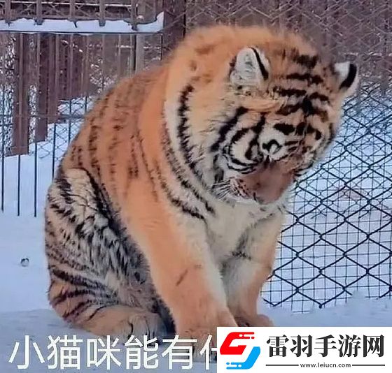 能有什么坏心眼呢是什么梗络用语