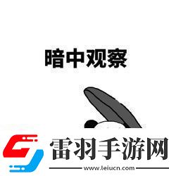 私生饭是什么意思