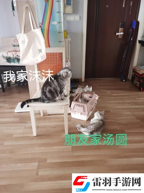 “串门偶得”
