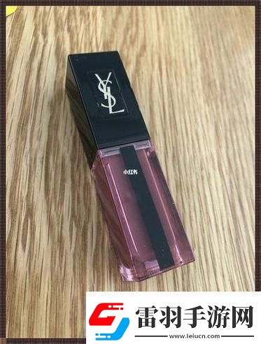 “YSL色彩秀T9狂潮来袭！全疯传的颠覆性创意”