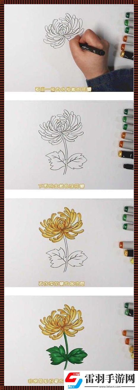 六年级菊花笔筒