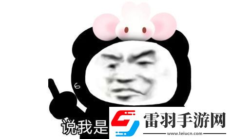 搞笑女是什么梗络用语
