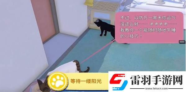 小猫咪大城市等待一缕阳光任务攻略
