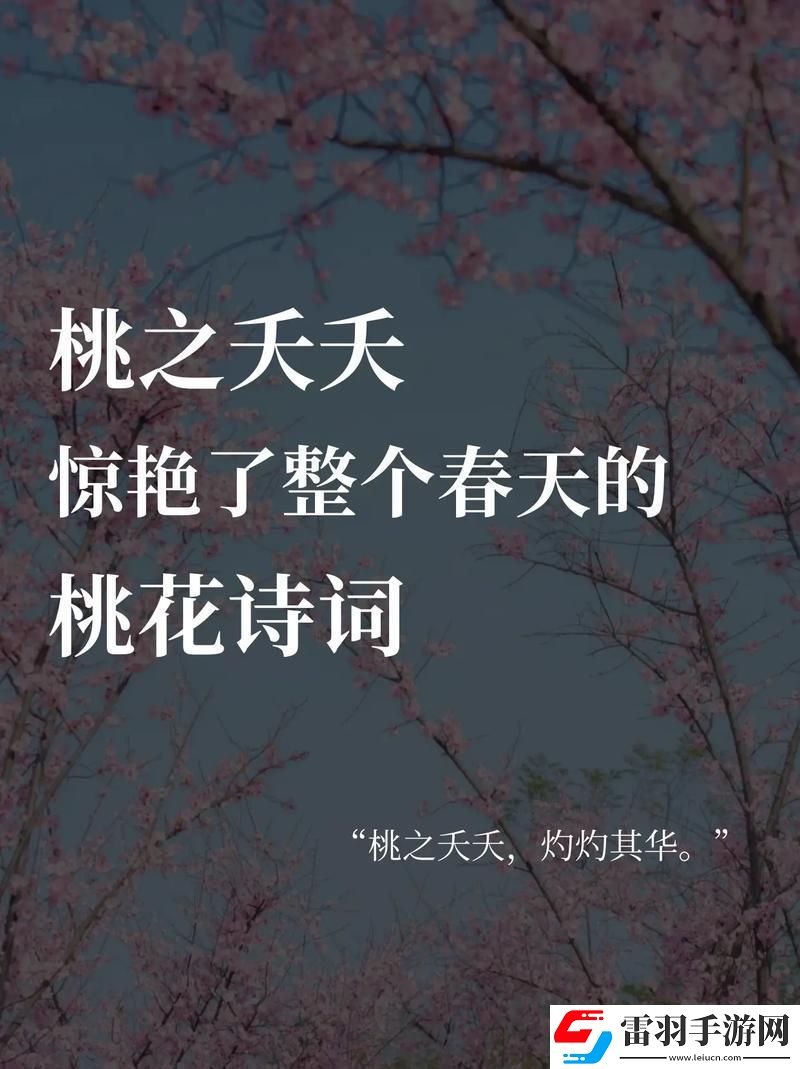 桃花“破纪录”