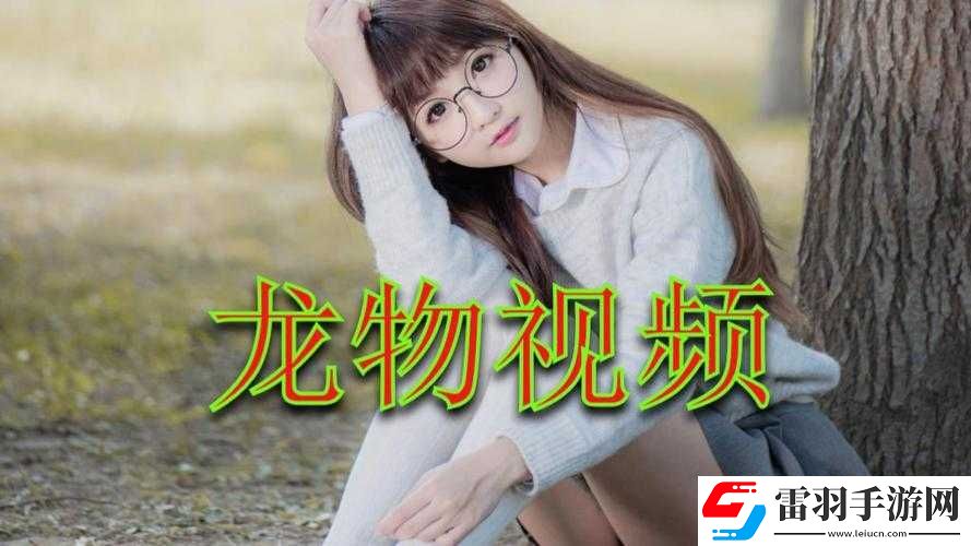 yw龙物永不换的域名是啥