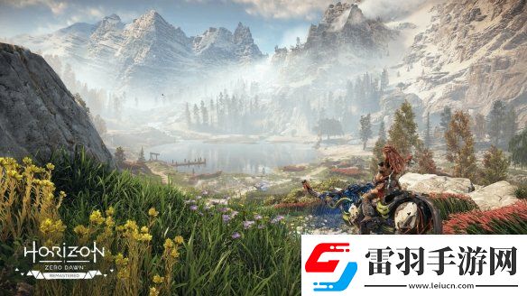 友根据招聘信息推测地平线