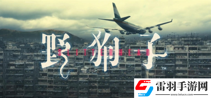 野狗子奇才怎么获得