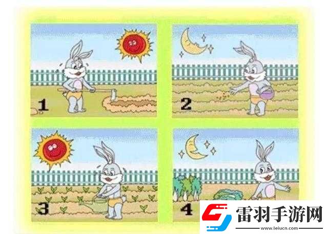 一起探寻观察画面仔细对比在寻找过程中的不可或缺性