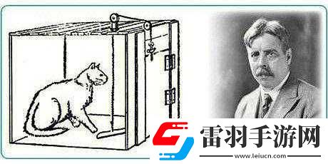 如何通过观察猫猫它饿了达成通关
