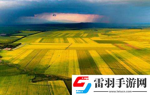 新疆昭苏县被誉为“天马之乡”对不对