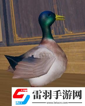 剑网3滴水恩宠物奇遇任务如何通关