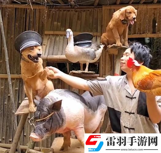 畜禽同人喧嚣背后