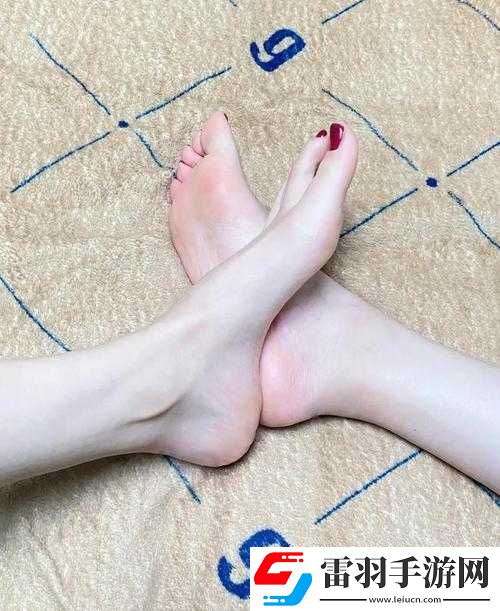 吾爱美脚