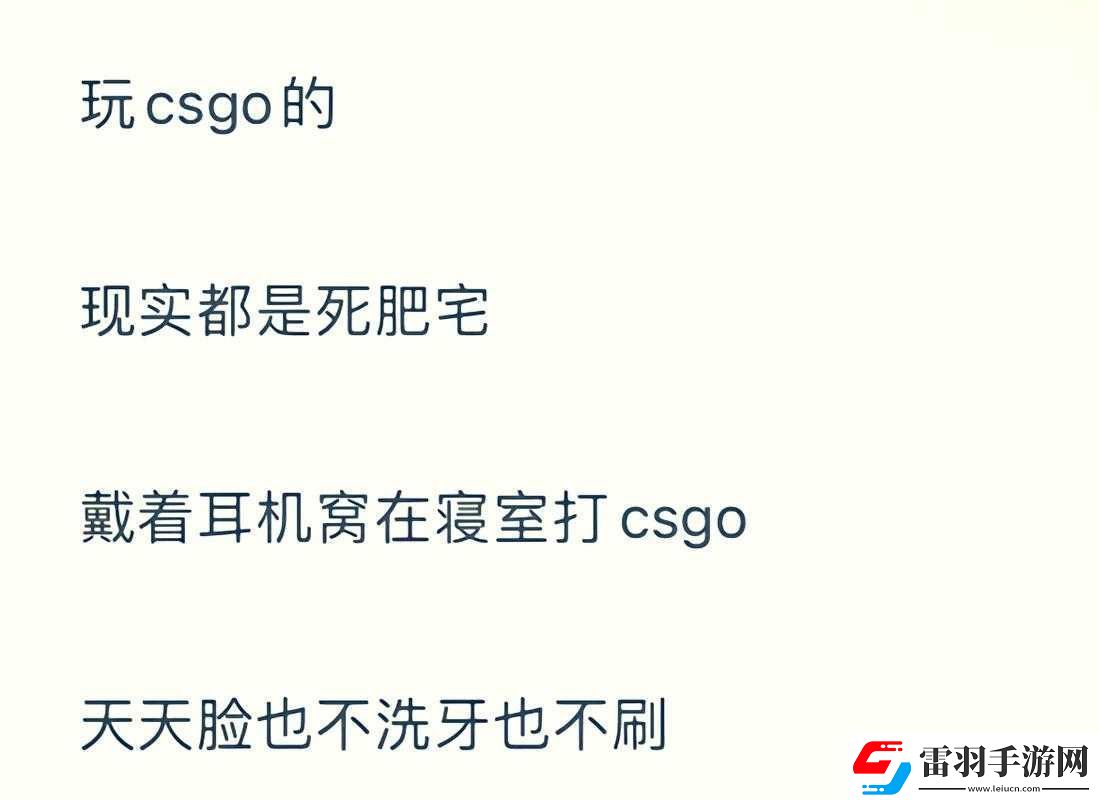 暴躁老阿姨CSGO
