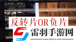 正片负片与反转片的定义及区别