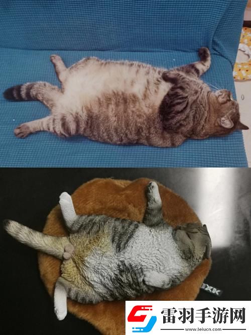 疯狂科技潮！除了柚子猫和玩偶