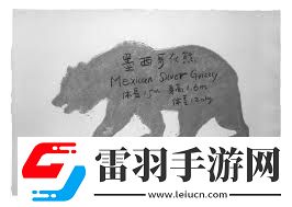 北极熊身上的神秘涂鸦