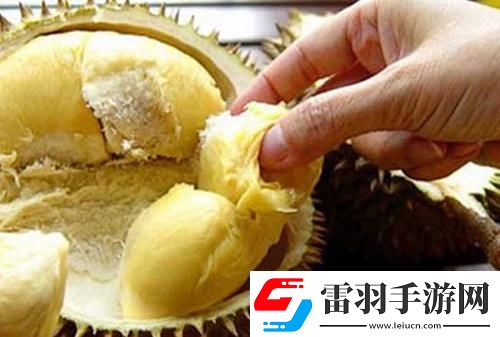榴莲污