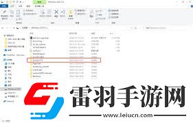 为何yjhy文件夹同时出现在C盘和D盘
