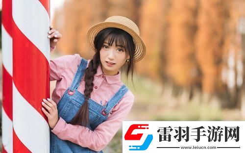 wordpress永久免费网站建设如何起步
