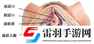 女生喊疼时