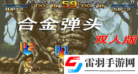 合金弹头怎么选双人