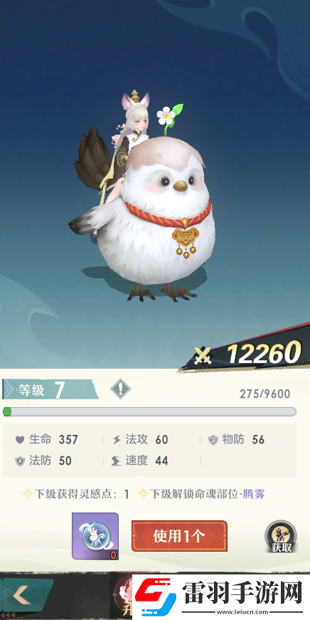 桃花师坐骑等级怎么提升