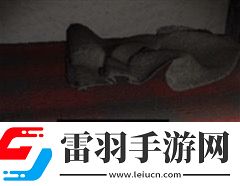 周静五级线索周芳的床位置在哪
