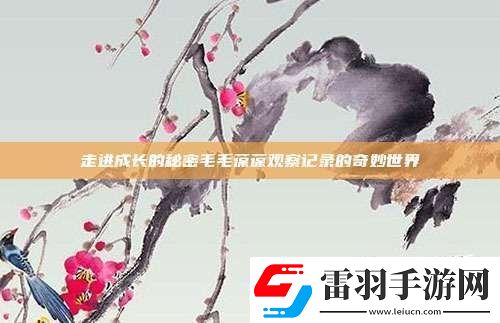 走进成长的秘密毛毛葆葆观察记录的奇妙世界